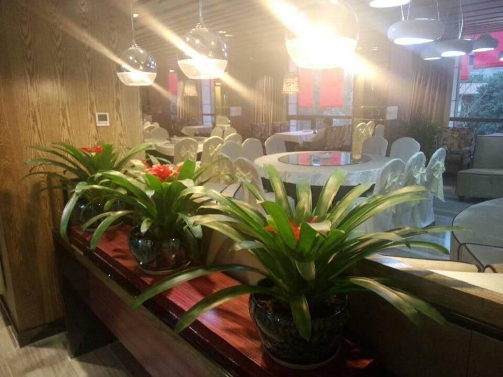 Chengdu Hello Hotel Shuangliu Экстерьер фото